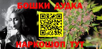a pvp Волжск
